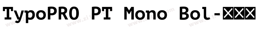 TypoPRO PT Mono Bol字体转换